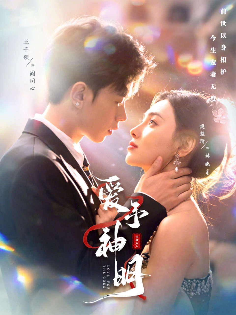 红桃视频剧集《合租大事记》海报