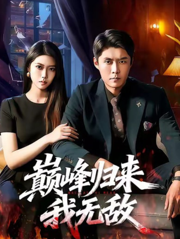 红桃视频剧集《雾港档案》海报